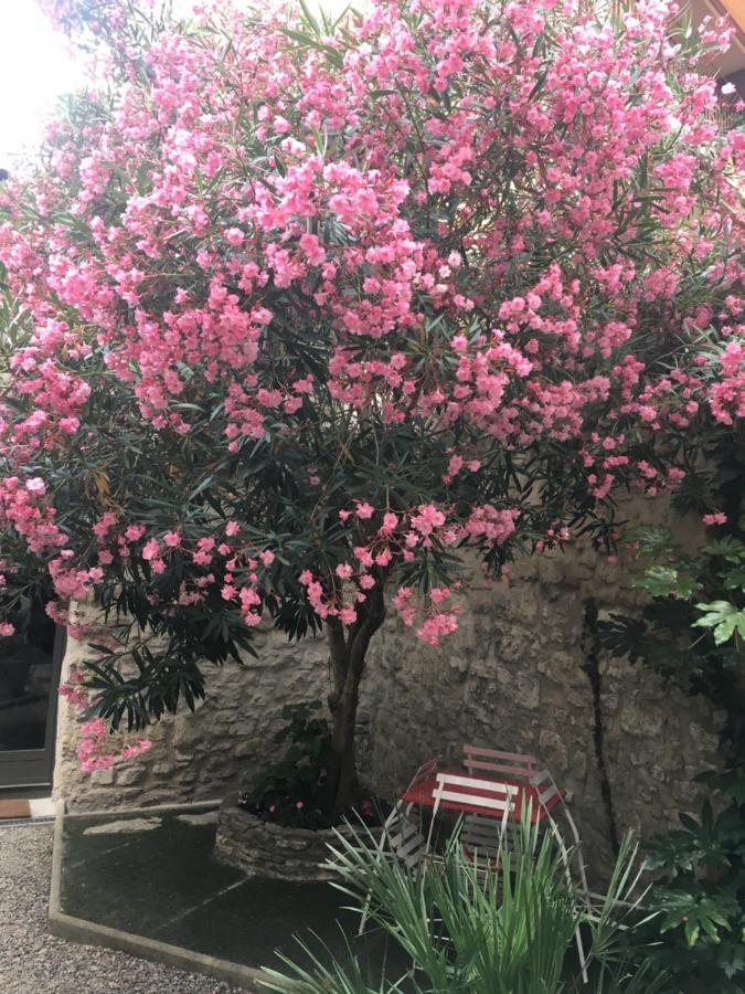Chambre Sur Jardin Secret - Avignon Centre - Climatisee Bagian luar foto
